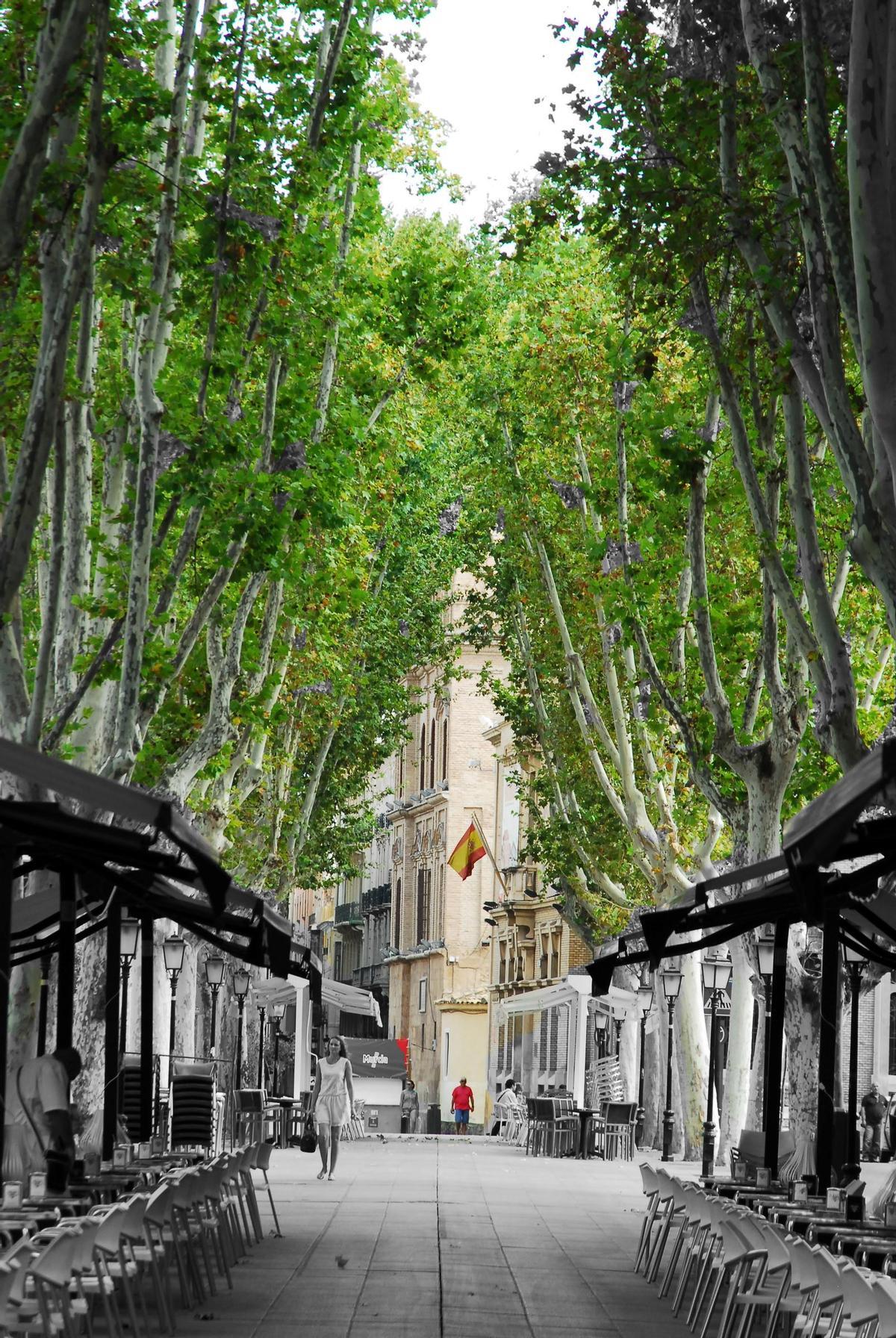 Paseo Alfonso X 'El Sabio' con sus terrazas.