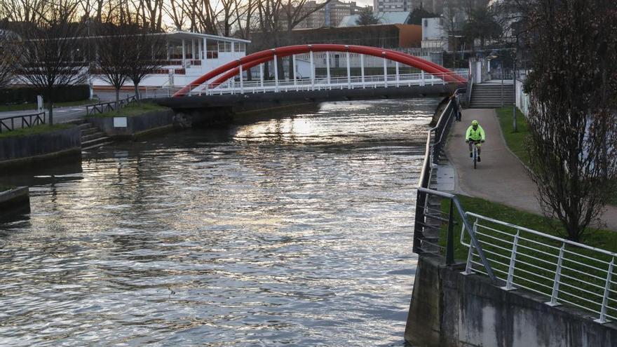 El Ayuntamiento detecta organismos tóxicos en el anillo del Piles y las lagunas de Isabel La Católica