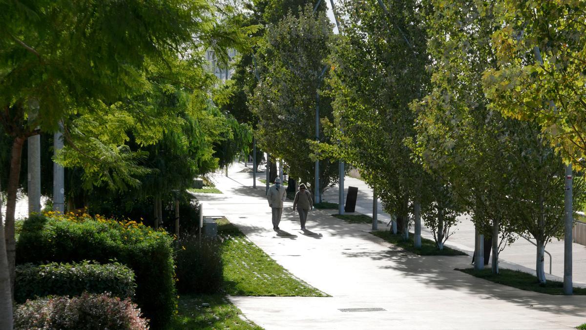 El passeig de la Salzereda, un nou bulevard al costat del riu