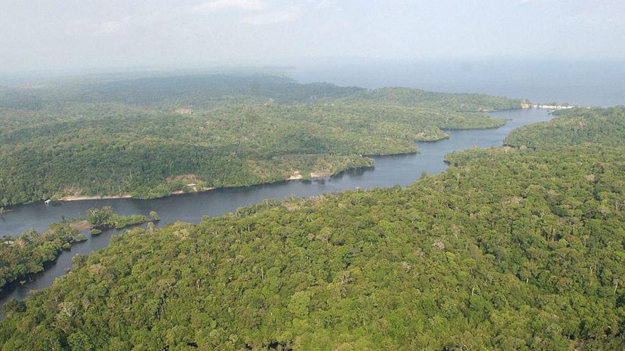Un estudio revela que los primeros humanos de la Amazonia cultivaban plantas