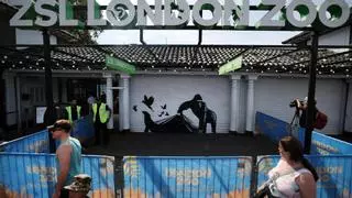 Banksy dibuja un gorila ante el zoo de Londres, su novena obra de la serie de animales