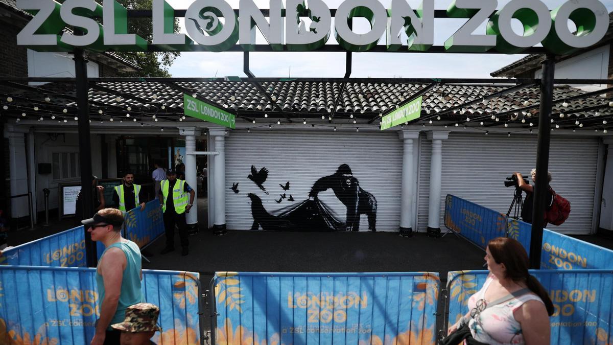 Banksy dibuja un gorila ante el zoo de Londres, su novena obra de la serie de animales