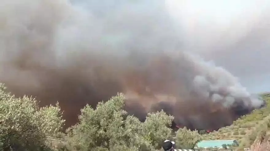 Las llamas del incendio forestal de Segorbe desde la CV-25