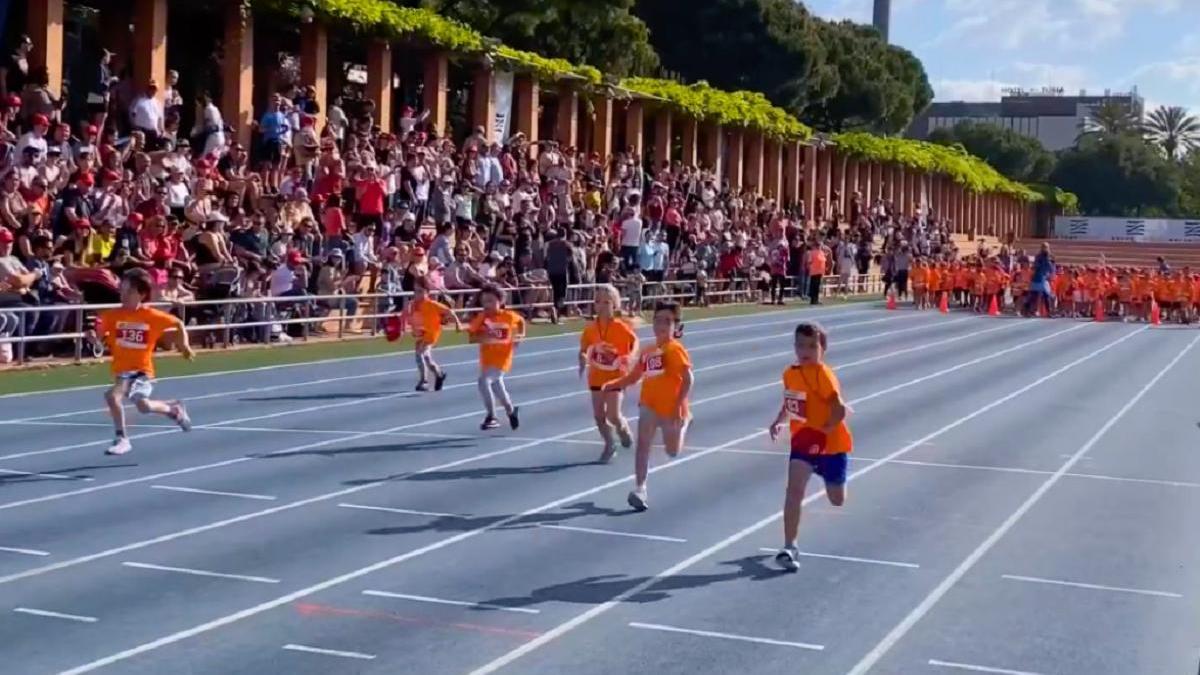 Podrán participar en la Olimpiada los niños y niñas nacidos entre 2012 y 2019.