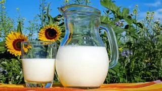 Adiós a la leche: estos son los motivos por los que podrías eliminarla y qué alternativas son más saludables