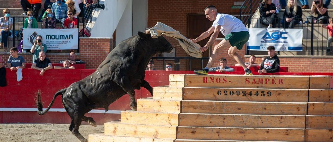 Las reses del hierro La Paloma han iniciado el concurso de ganaderías de la Pascua Taurina de Onda.