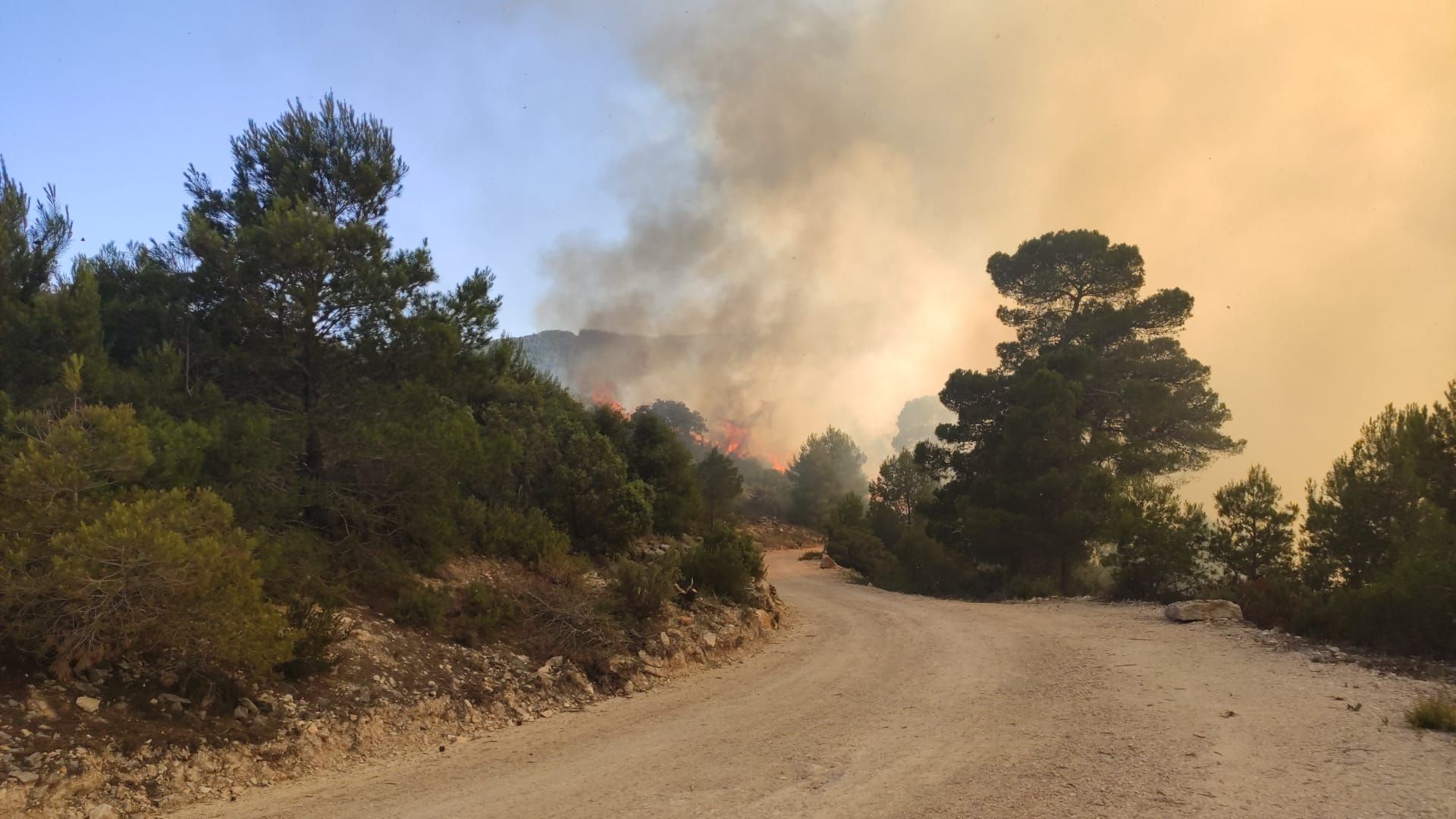 Los incendios de Ontinyent y L'Olleria movilizan una importancia dotación de bomberos y hasta 16 medios áreos
