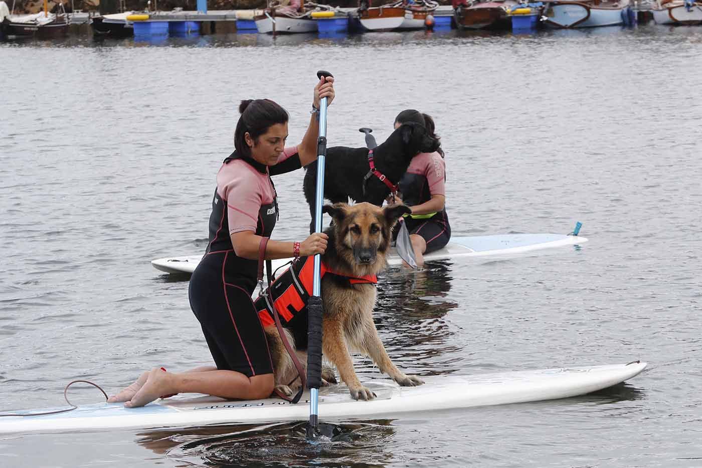 A la tendencia al alza de practicar pilates y yoga en el mar, se suman ahora las mascotas