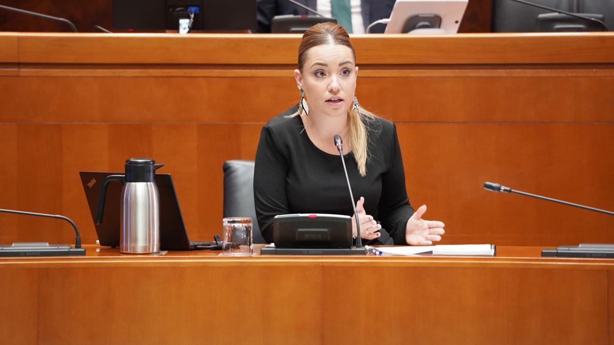 Maru Díaz, consejera de Ciencia, esta mañana, en las Cortes.