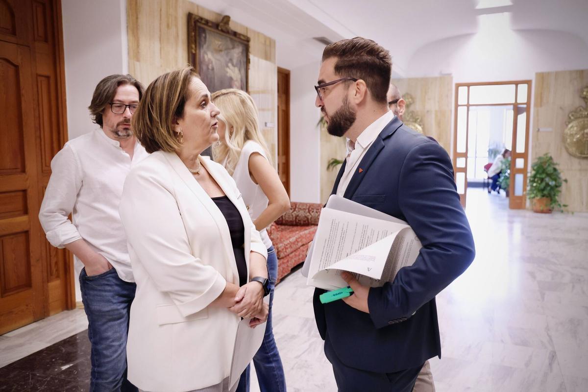 Pleno Ayuntamiento de Córdoba Ordenanzas fiscales