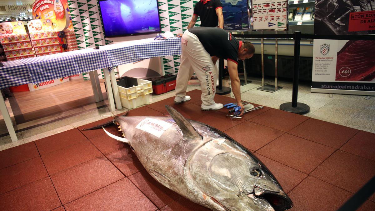 Los pescadores de artes menores de la Comunitat Valenciana reclaman más cuota de atún rojo