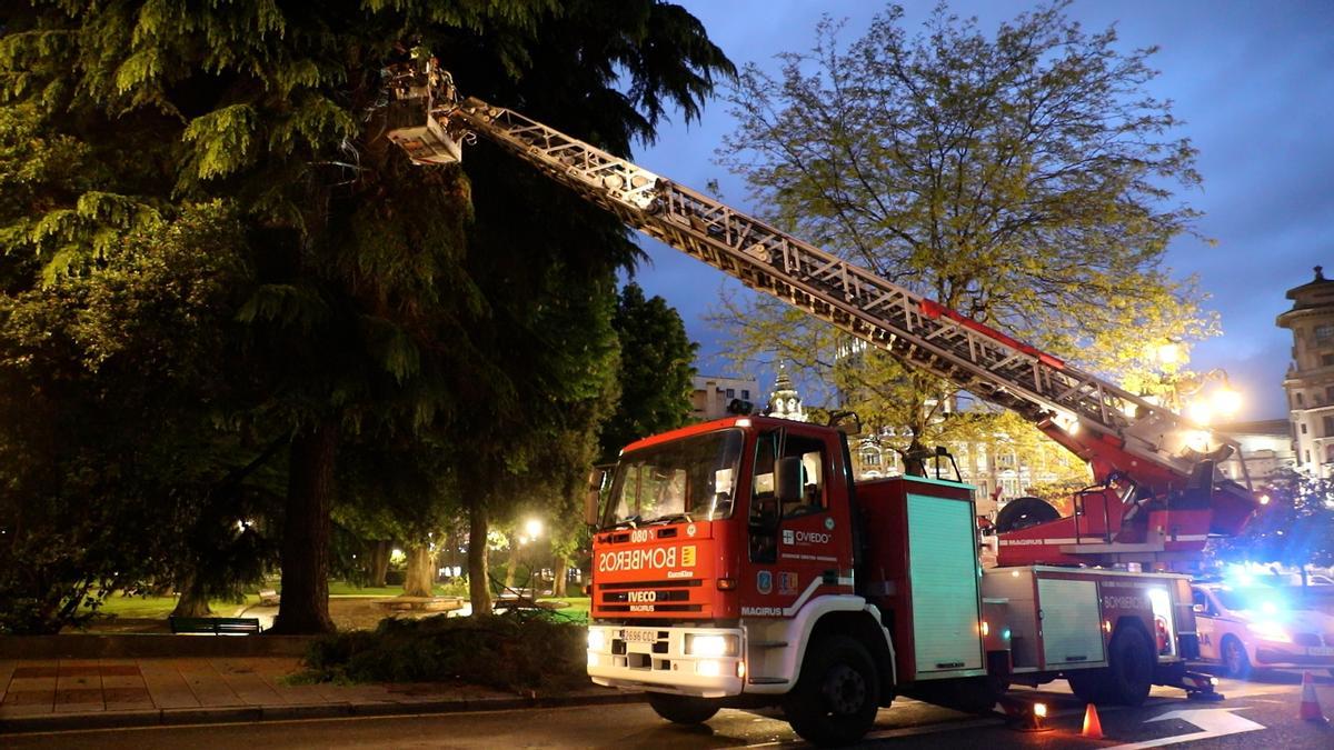 Así fue la intervención de los bomberos para retirar una gran rama que cortó una calle en pleno centro de Oviedo
