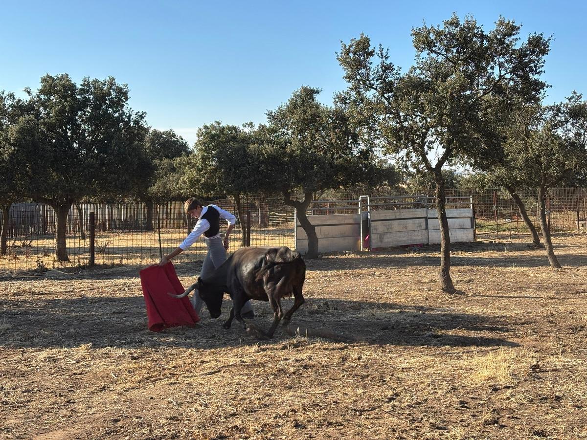 GALERÍA | Alumnos de la Escuela Taurina de Navas del Rey participan en una retienta en la ganadería Toros Villalpando