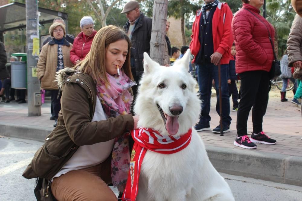 Bendición de los animales en la Ermita de San Antón