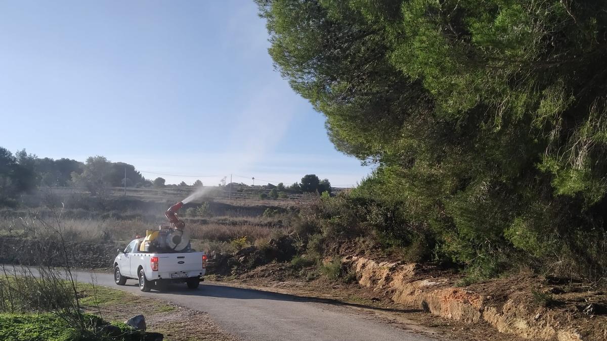 Una 'nube' ecológica para acabar con la procesionaria