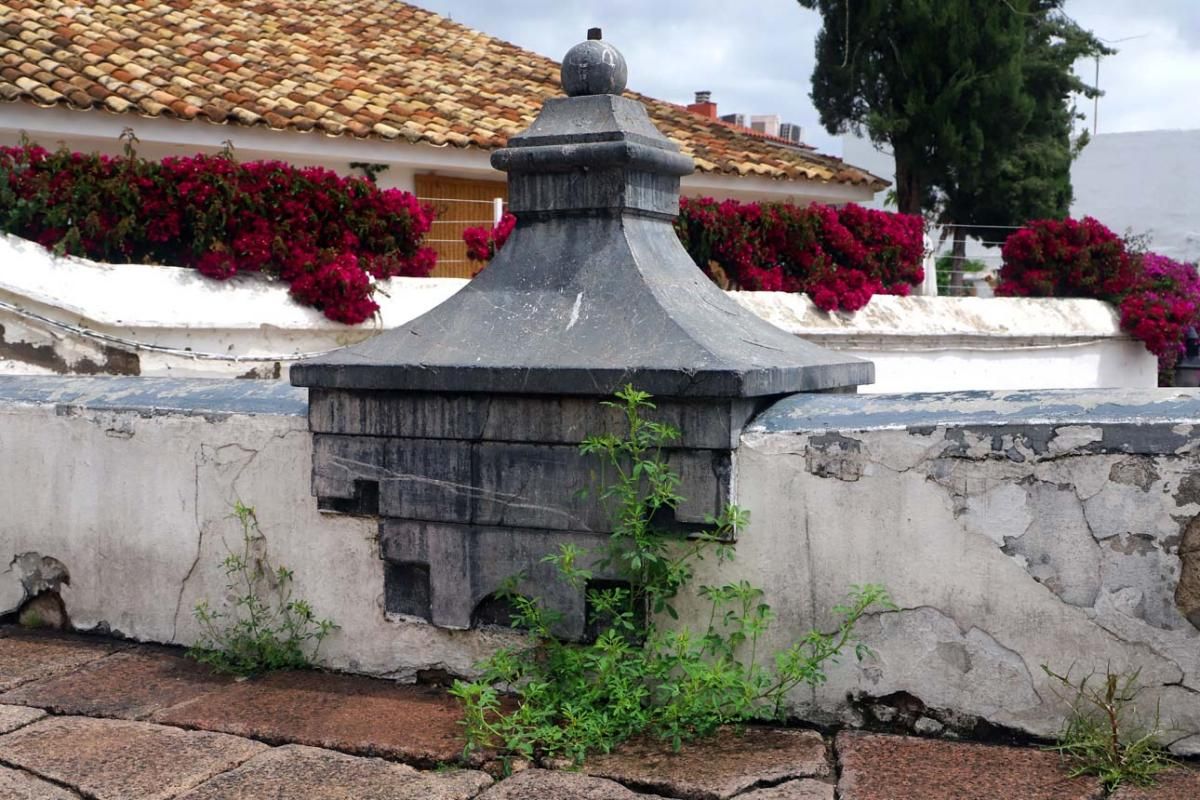 El día en el que reinó el verde