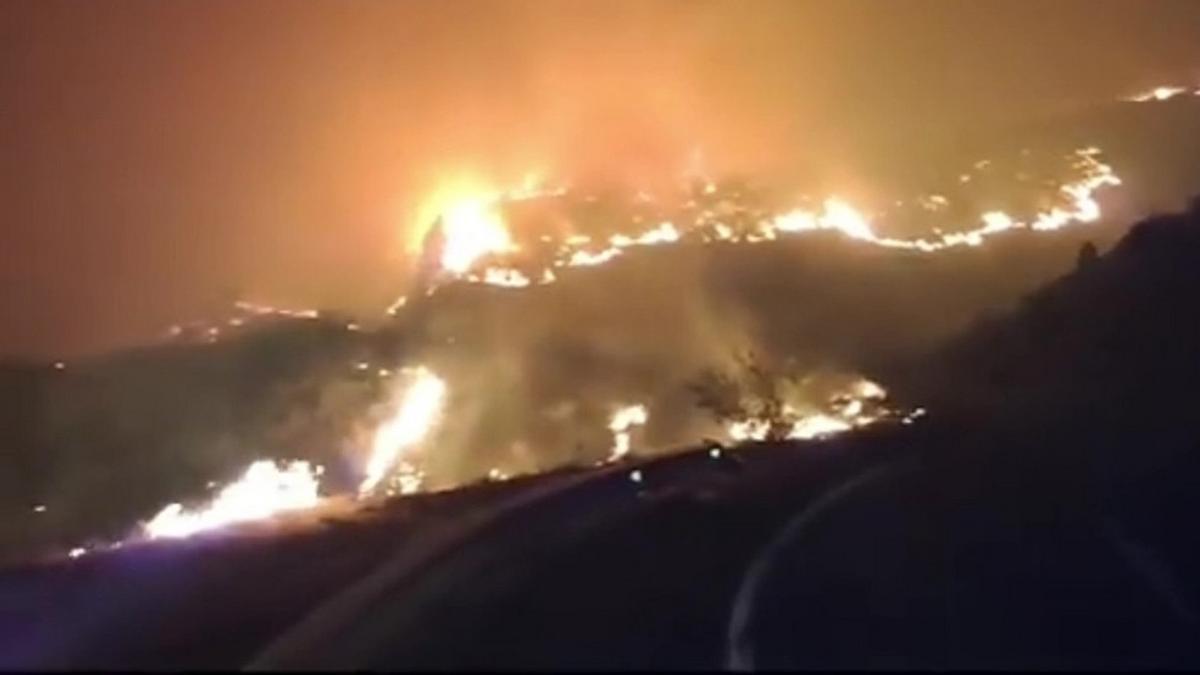 Evacuan diferentes barrios por precaución debido al incendio en Candelaria y Arafo.