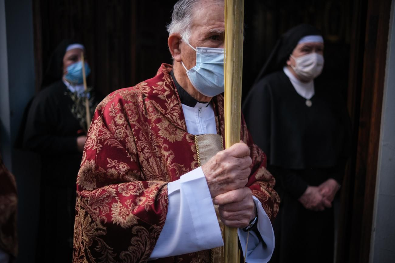 Procesión del Paso de la Entrada de Jesús a Jerusalén en La Laguna