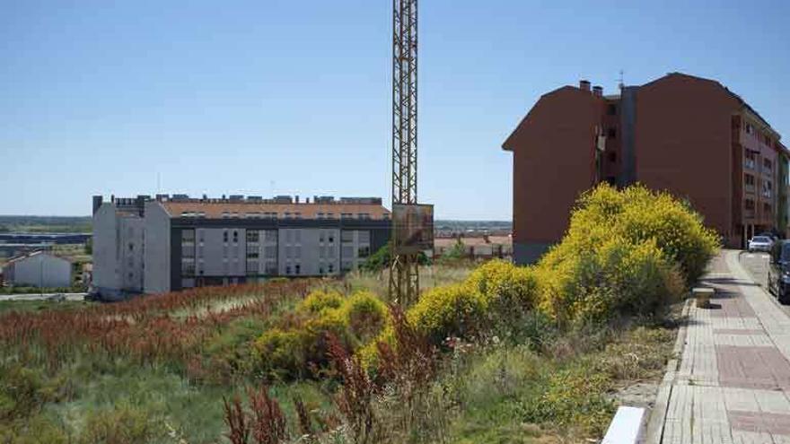 Zona de vegetación en el entorno de la antigua plaza de toros. Abajo, el bloque afectado.