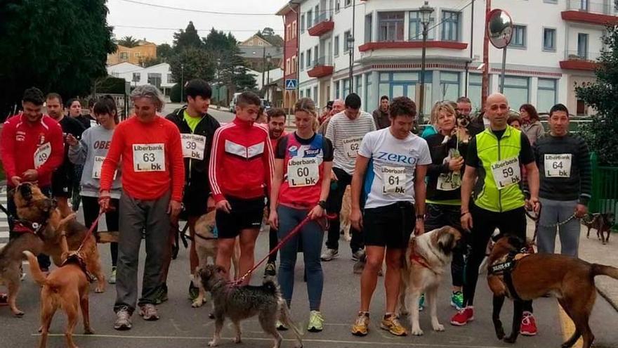 Los perros, a la carrera en Navia