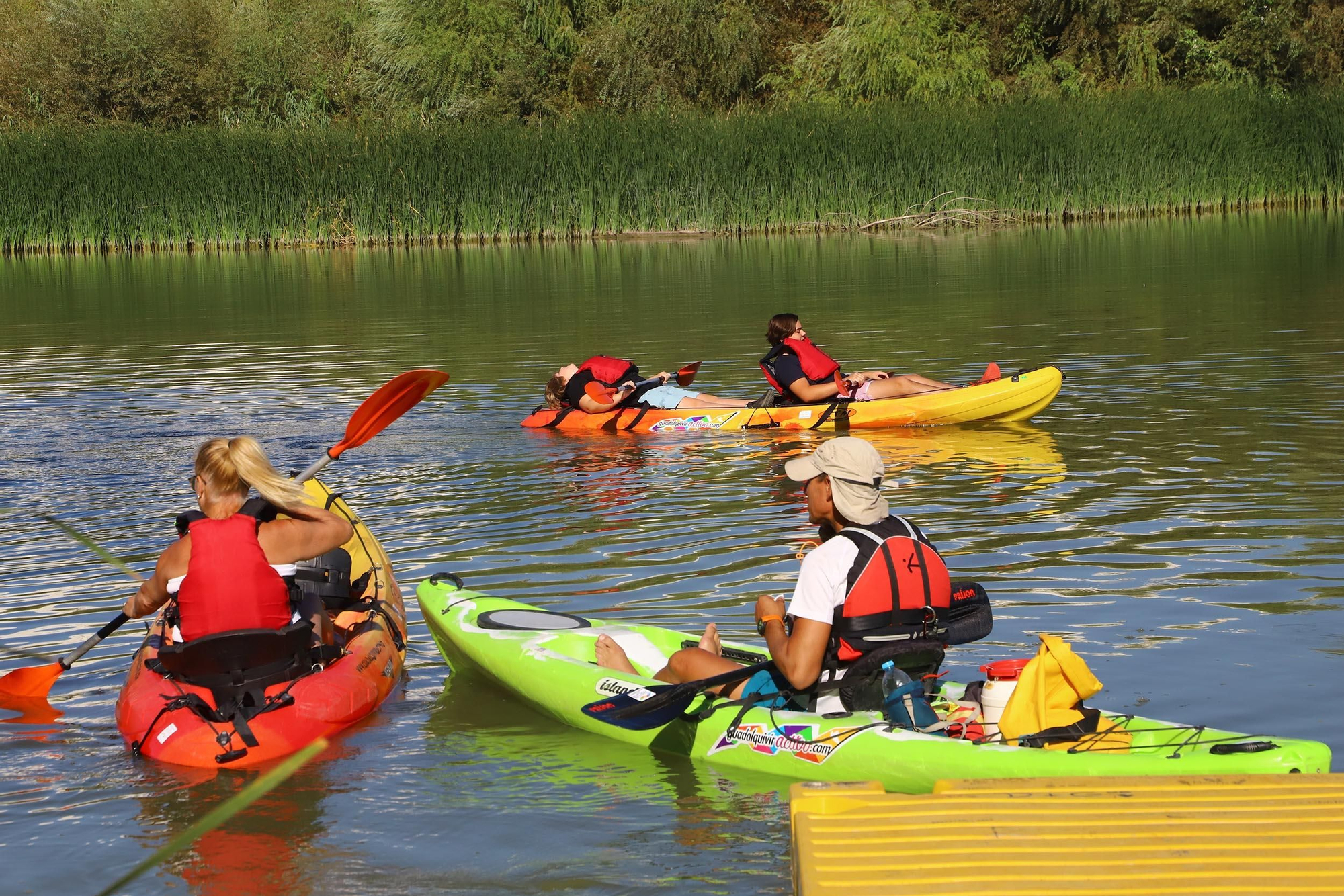 Paseos en kayak por el róio Guadalquivir
