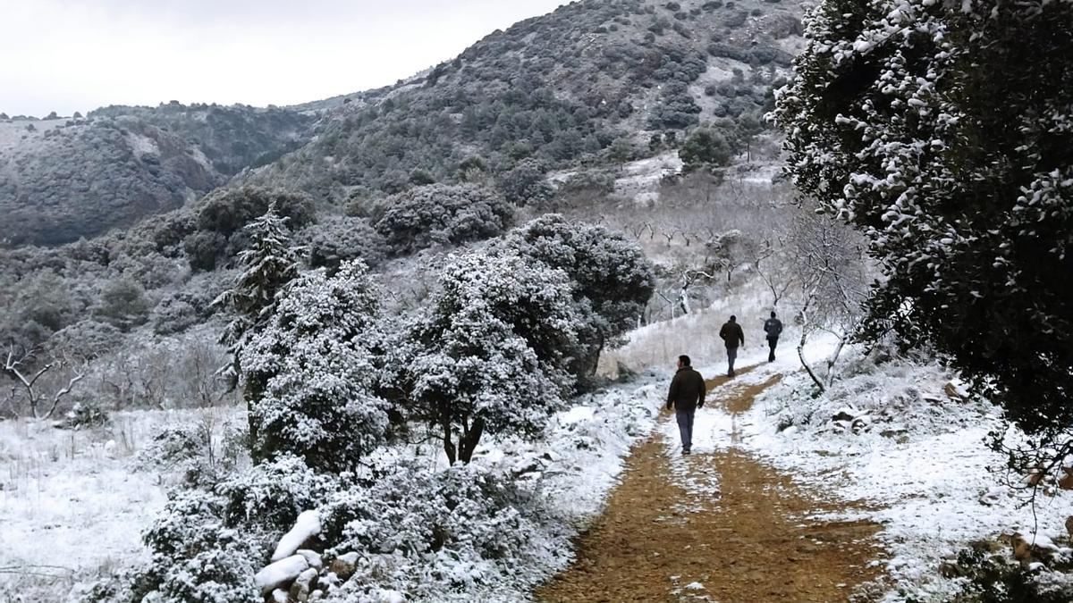 La nieve cubre Castell de Castells