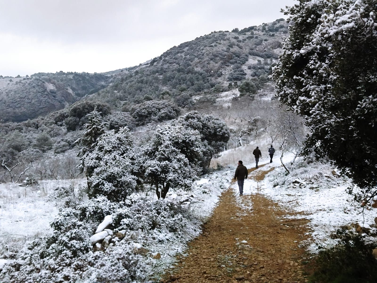 La nieve cubre Castell de Castells