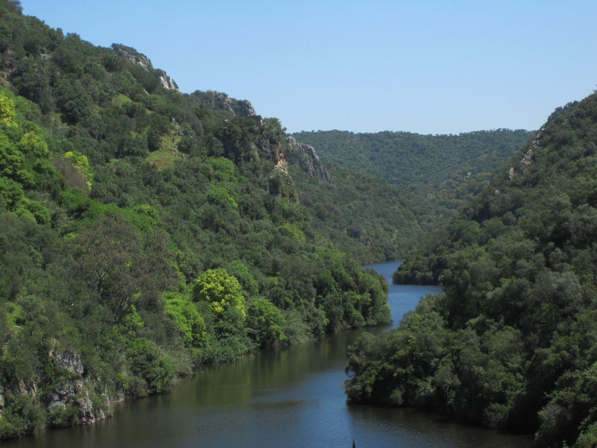 Hábitat de nidificación en el Parque Natural de la Sierra de Hornachuelos