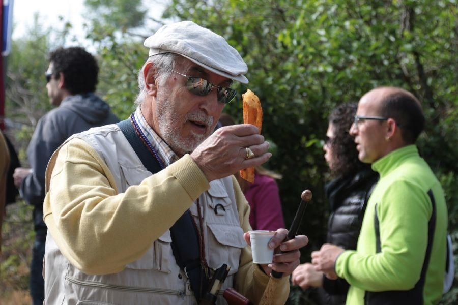 Romería de Valderrey en Zamora