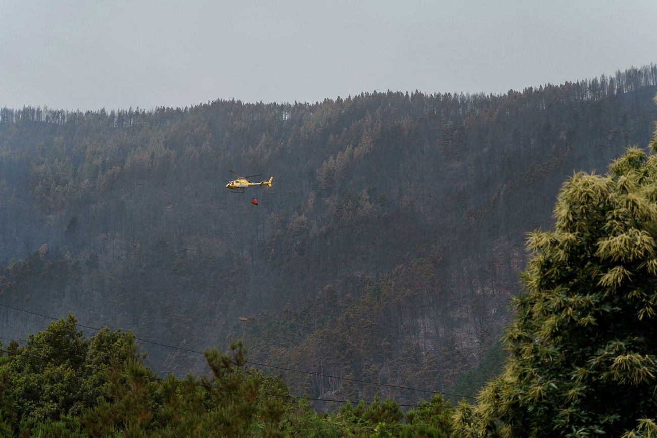 Así ha quedado el monte de Tenerife por el incendio