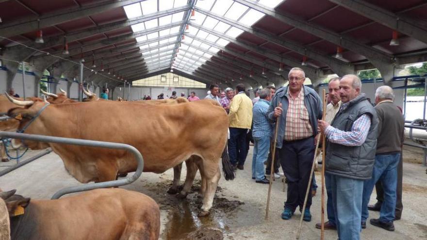 Escasez de ventas en la tradicional feria de San Mateo