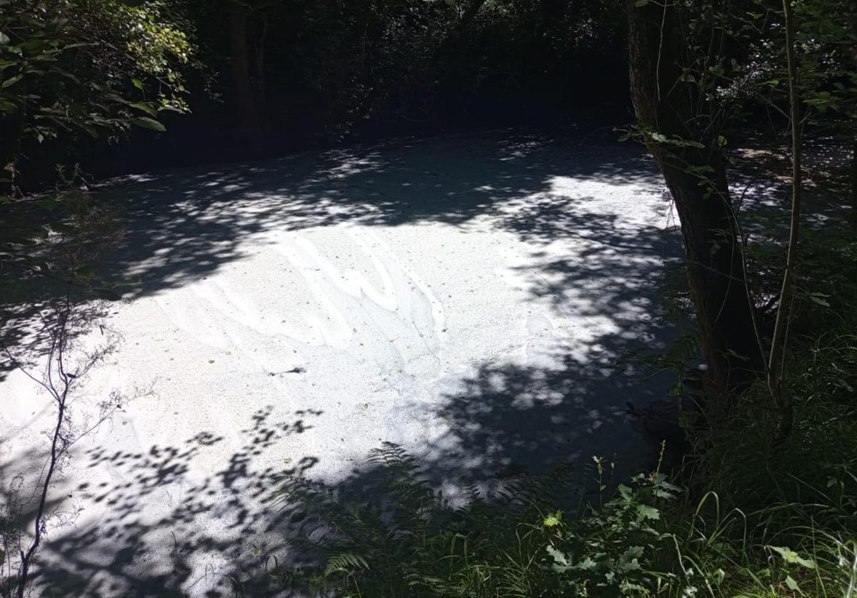 En algunos tramos del río se pudo ver espuma bajando por el cauce. |
