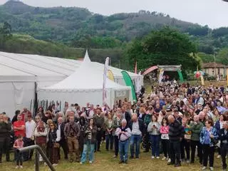 La Feria del Salmón de Cornellana celebra el éxito de recibir 7.500 visitantes pese a la ausencia del campanu de Asturias: "Estamos muy contentos"