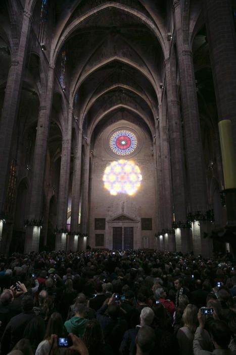 Die Sonne hat mitgespielt: Am Freitagmorgen (11.11.) zog die magische Acht in der Kathedrale von Palma Einheimische wie Mallorca-Urlauber in ihren Bann.