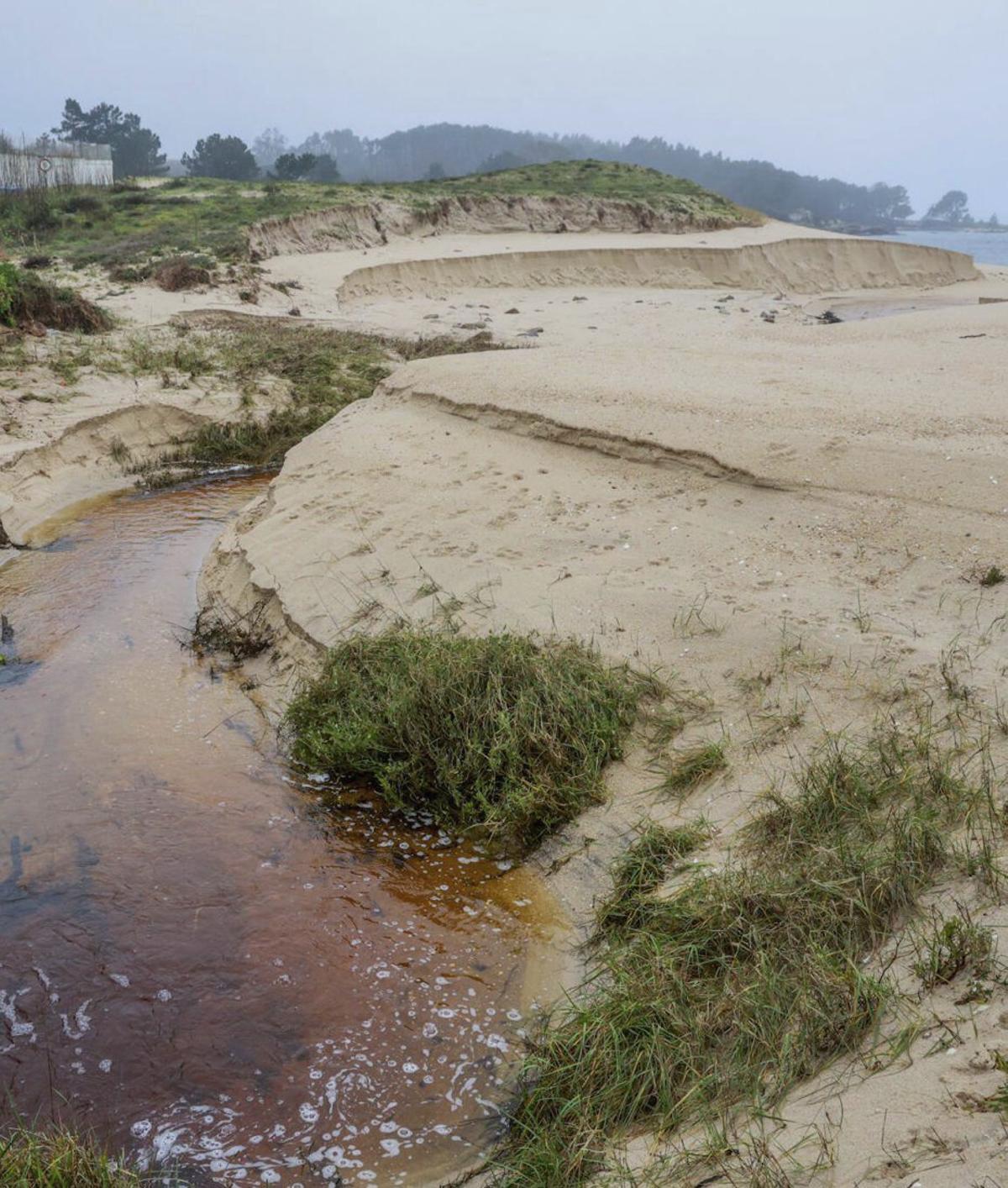 «No podemos perder banderas azules ni poner en riesgo a los vecinos» | IÑAKI ABELLA