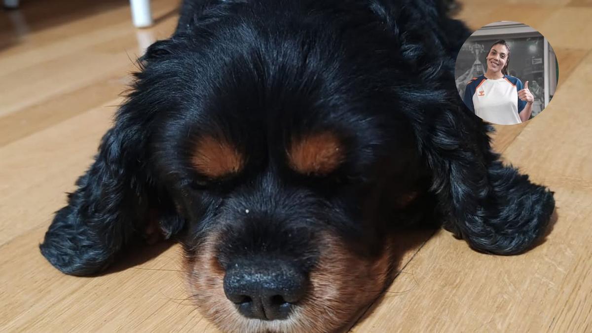 Daffy, el perro del padre de Cristina Ouviña.