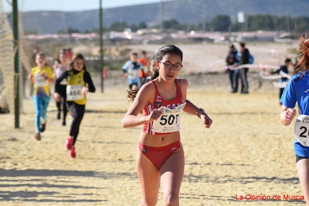 Cross de Jumilla 2