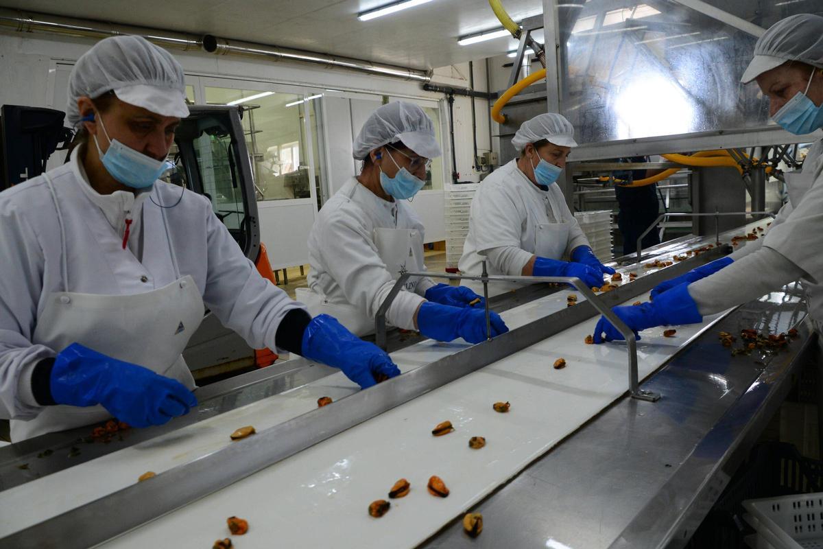 Visita a las instalaciones de Pescados Marcelino, una empresa con más de medio siglo de historia en el puerto de Aldán Visita a las instalaciones de Pescados Marcelino, una empresa con más de medio siglo de historia en el puerto de Aldán