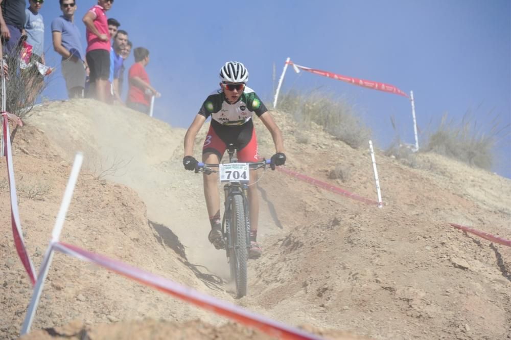 Mountain bike en Molina de Segura