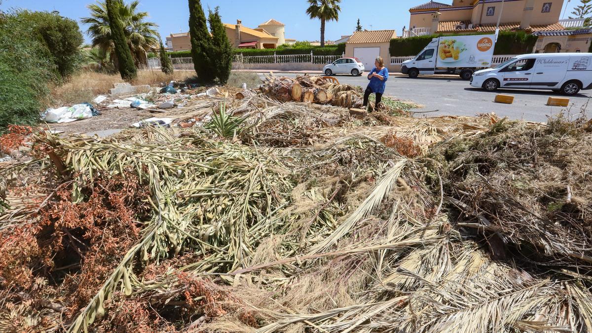 Podas, escombros y enseres, en una calle de Orihuela Costa