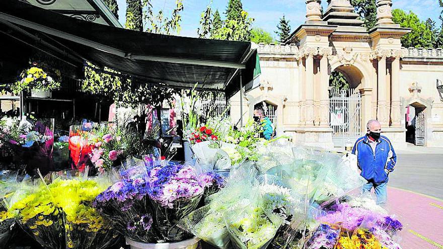 Agricultura adelanta el pago de ayudas al sector de la flor cortada y planta ornamental