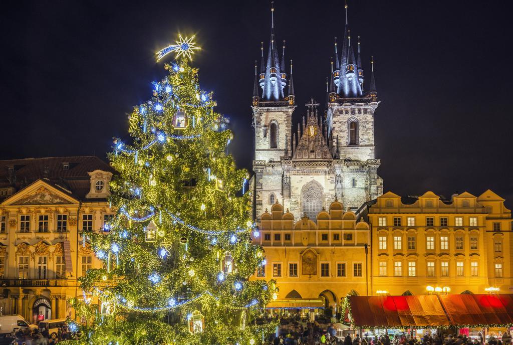 Árbol frente a la catedral de Praga