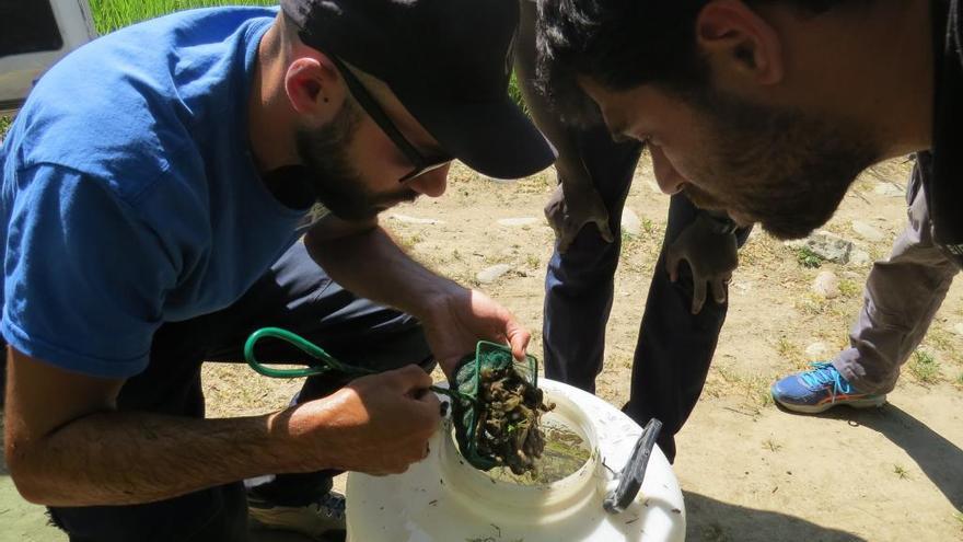 Els tècnics en plena operació de rescat dels capgrossos, el 12 d&#039;abril