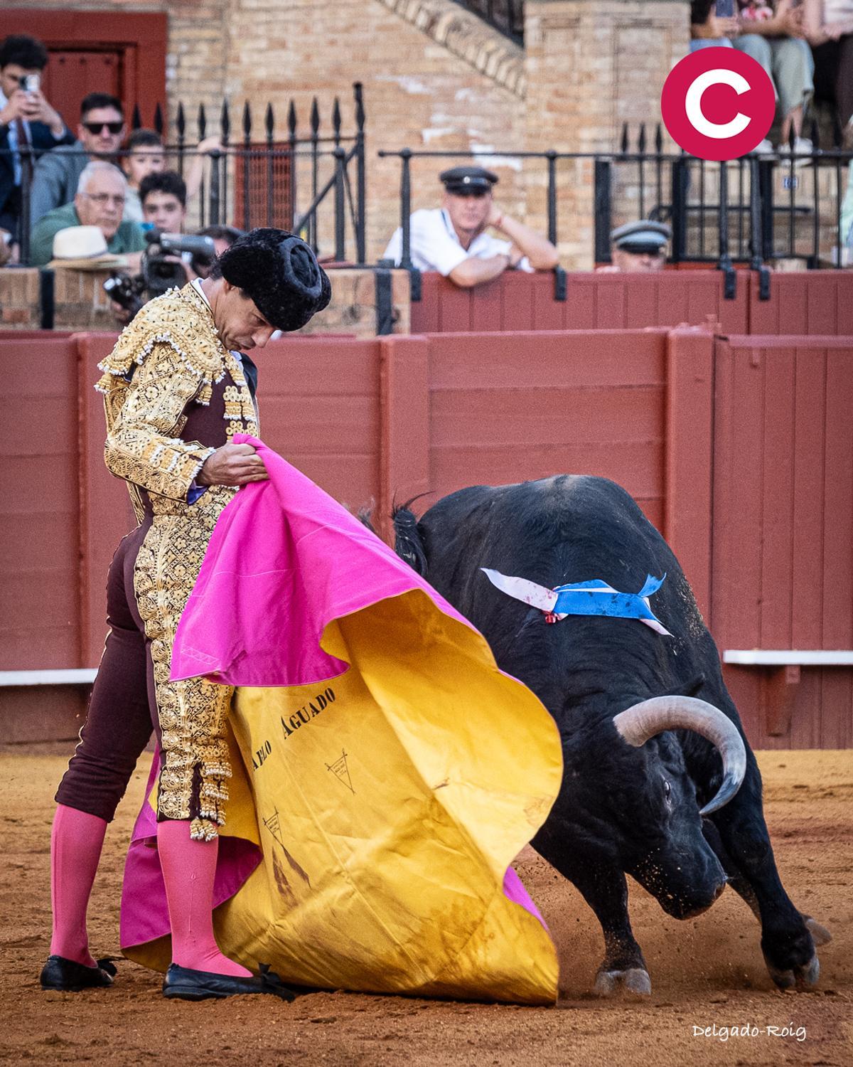 La suavidad de Pablo Aguado con el capote.