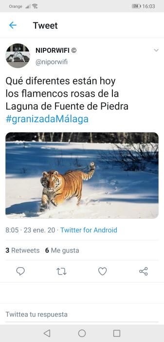 Los memes de la granizada caída en Málaga