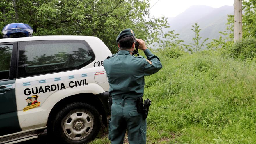 Hallan el cadáver de un oso pardo joven en Asturias