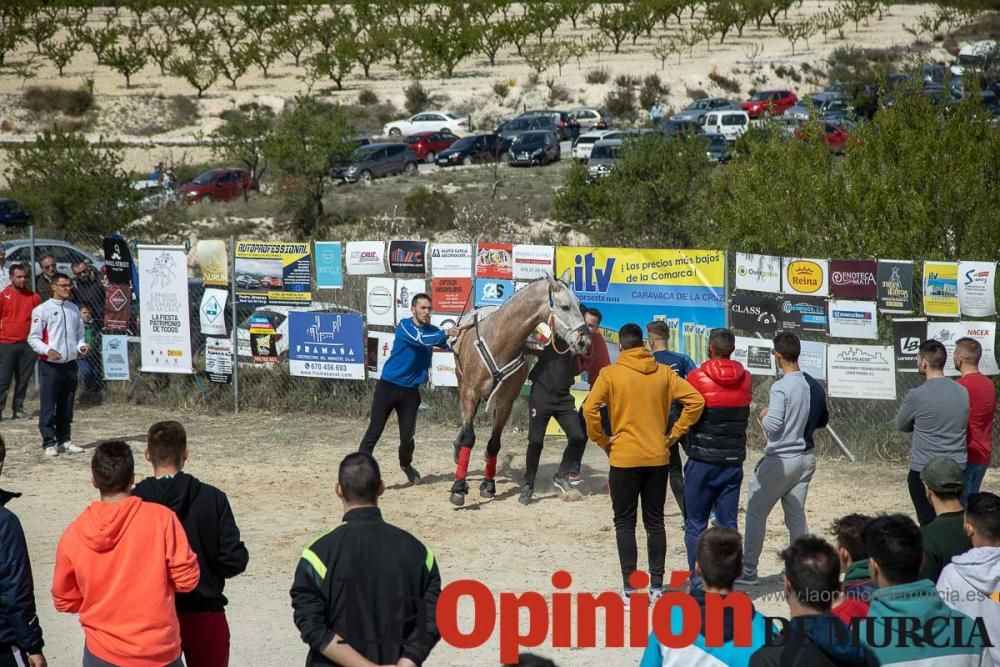 Carrera de entrenamiento de los Caballos del Vino