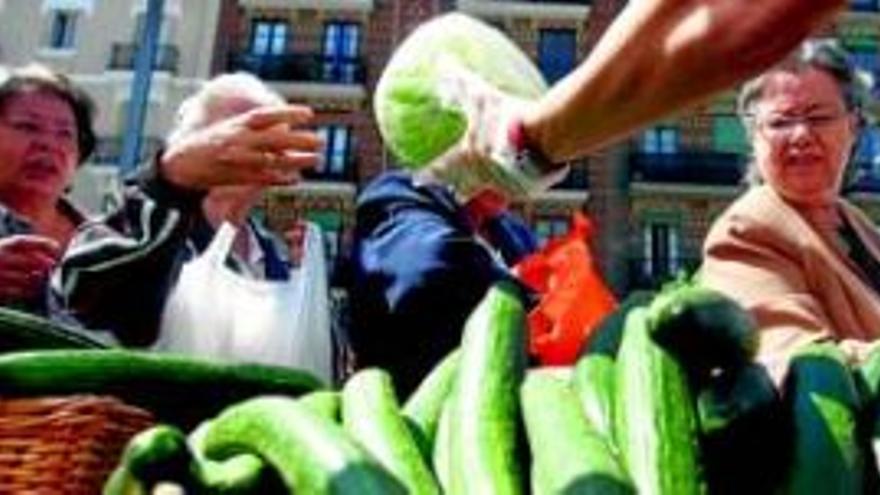 Los agricultores toman el centro de Madrid para regalar hortalizas