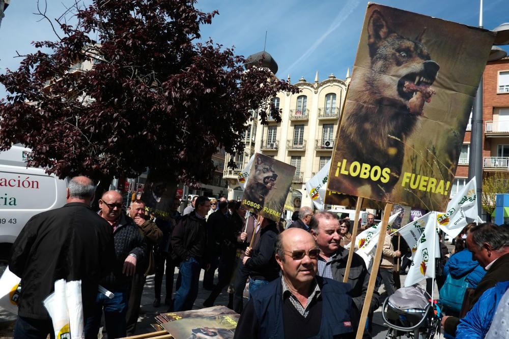 La Alianza se manifiesta en contra del lobo