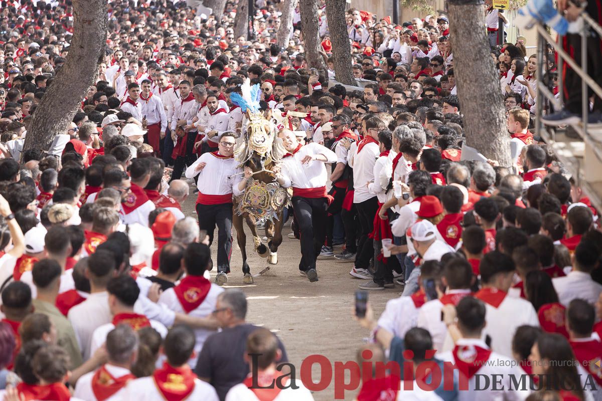Así se ha vivido la carrera de Los Caballos del Vino en Caravaca